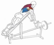 Тяга Т–грифа — эффективное упражнение для мышц спины