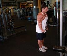 How to pump up biceps and triceps at home: training program and recommendations