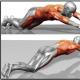 Kulplu jimnastik tekerleği - sadece bir pres simülatörü değil Baskı silindiri: incelemeler
